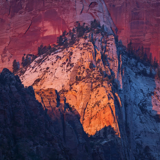 Zion Narrows and Intimate Landscapes Workshop