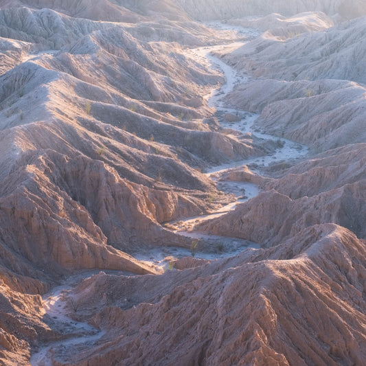 Anza-Borrego Desert Workshop