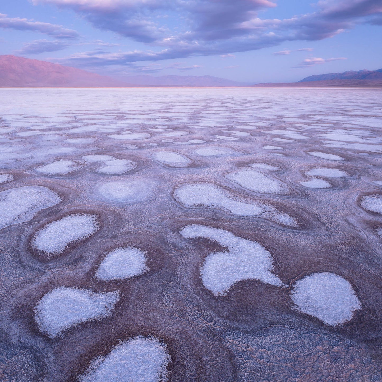 Death Valley Cottonballs