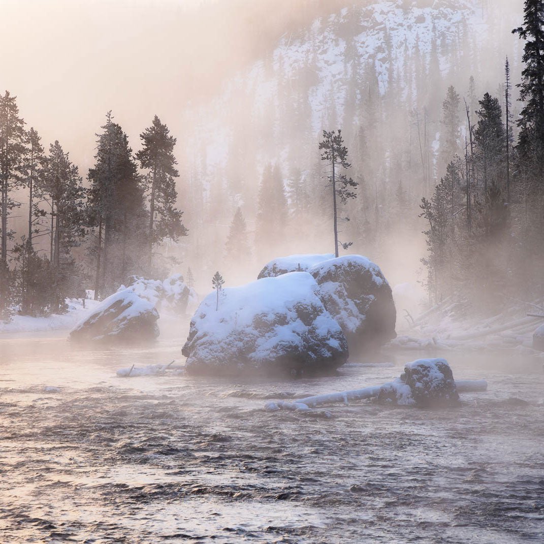 Yellowstone Winter Expedition